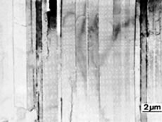 photo : Lamellar microstructure in directionally-solidified TiAl alloy.