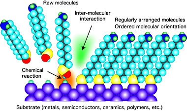 image : Self-assembled monolayer