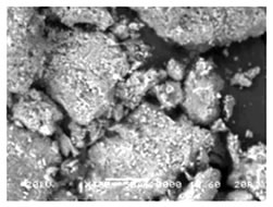 photo : SEM image of yellow sand particles